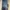 Rok Jeans