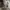 Carhartt Vintage Casual Sweater Pria gray photo 5
