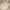 Vintage Pakaian Nasional Casual shirt Pria tan photo 6