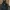 CARHARTT HARLEM CAP CORDUROY NAVY photo 1