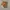Crewneck 888 Seconds Pacifist photo 4