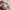 Vintage Indie Hat Pria gray photo 4