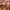 Pomelo Casual Maxi dress Wanita multicolor photo 7