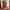 Pomelo Casual Maxi dress Wanita multicolor photo 8