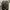 adidas nmd abu original photo 4