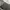 adidas nmd abu original photo 5