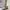 adidas nmd abu original photo 1