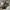 adidas nmd abu original photo 2