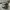 adidas nmd abu original photo 6