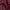Alpha Industries Biker Bomber jacket Pria burgundy photo 7