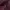 Alpha Industries Biker Bomber jacket Pria burgundy photo 4
