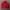 CP COMPANY CASUAL TRACK JACKET 