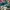 VANS Streetwear Sneakers Pria green photo 4