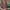 VANS Streetwear Sneakers Pria green photo 7