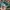 VANS Streetwear Sneakers Pria Green
