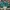 VANS Streetwear Sneakers Pria Green