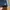 Adidas Casual Short Pria navy photo 4