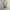 Liz Lisa Midi Dress Coquette Fairycore Milkmaid Acubby photo 1