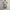 Liz Lisa Midi Dress Coquette Fairycore Milkmaid Acubby