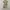 Liz Lisa Midi Dress Coquette Fairycore Milkmaid Acubby photo 8