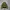 SISLEY Puffer 2in1 Jacket
 photo 7