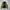 SISLEY Puffer 2in1 Jacket
 photo 5
