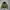 SISLEY Puffer 2in1 Jacket
 photo 3