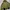 SISLEY Puffer 2in1 Jacket
 photo 2
