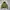 SISLEY Puffer 2in1 Jacket
 photo 1