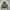 SISLEY Puffer 2in1 Jacket
