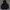 HOODIE ADIDAS BIG LOGO photo 1