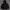 HOODIE ADIDAS BIG LOGO