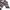 United Colors of Benetton Blue Striped Glitter Fitted Ribbed photo 4