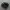nike af1 photo 1