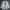 Burberry Vintage Casual Harrington jacket Pria white gray photo 1