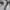 Burberry Vintage Casual Harrington jacket Pria white gray photo 4