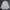 Burberry Vintage Casual Harrington jacket Pria white gray photo 3