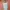 Outer + inner photo 2