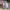 CUCI GUDANG Tas Wanita Warna Periwinkle Shoulder Bag | Sling photo 4