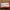 Coach cricket white coral leather photo 8