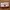 Coach cricket white coral leather photo 1