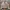 Jeans jacket Beslow Standard photo 1