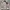 Jeans jacket Beslow Standard photo 2