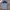 Polo Ralph Lauren Casual Polo Shirt Pria White Blue