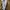 ZARA Minimalist Casual Midi dress Wanita tan photo 8