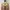 Floral Babydoll Top Square Neck Fairycore Coquette Milkmaid