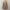 Floral Babydoll Top Square Neck Fairycore Coquette Milkmaid photo 7