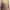 Floral Babydoll Top Square Neck Fairycore Coquette Milkmaid photo 8