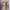 Floral Babydoll Top Square Neck Fairycore Coquette Milkmaid photo 3