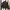 GUESS Black Cotton Stretch Biker Jacket photo 2